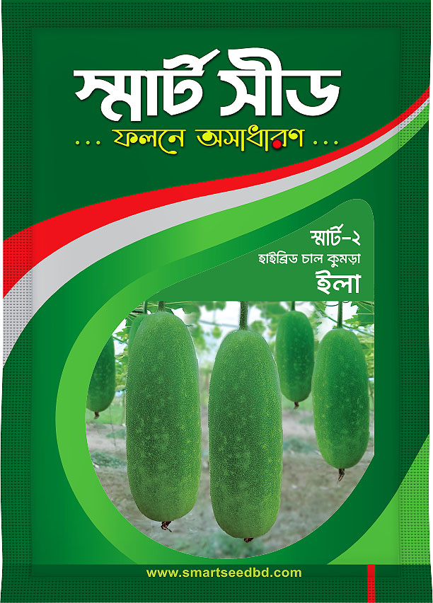Ash Gourd- Ila