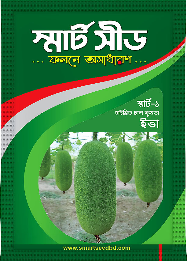 Ash Gourd- Eva