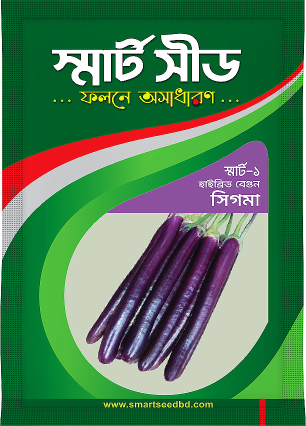 Hy bride Brinjal - Sigma