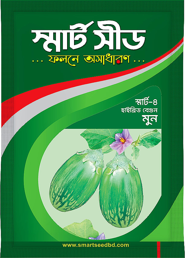 Hy bride Brinjal- Moon