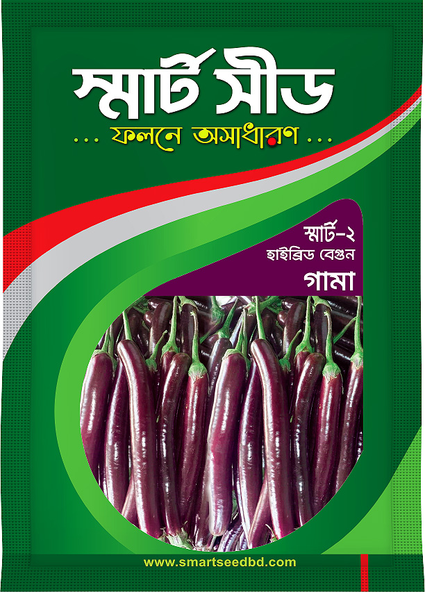 Hy bride Brinjal- Gama