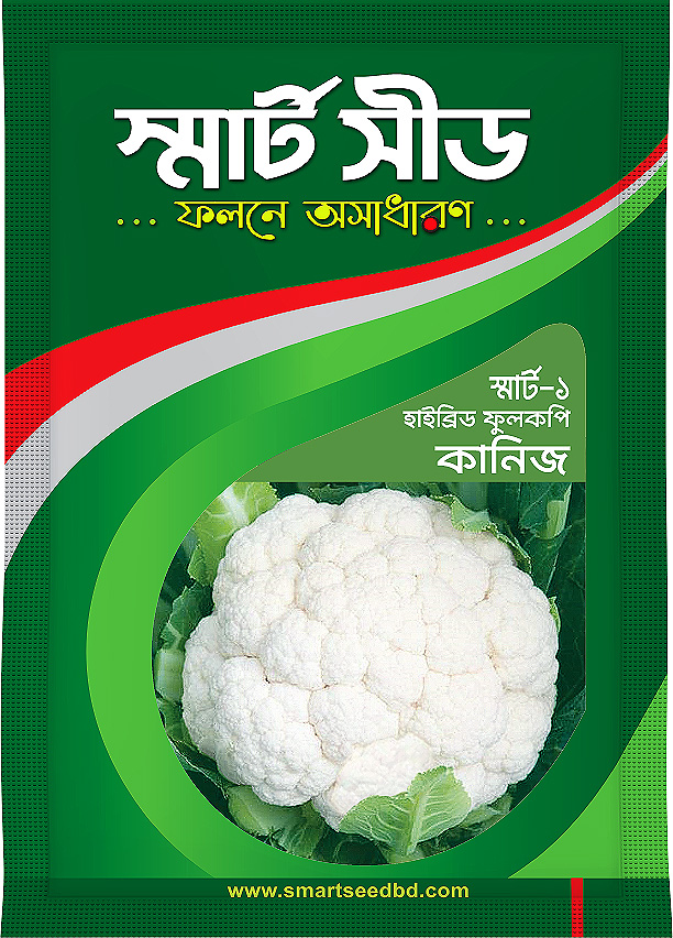 Hybrid Cauliflower - Kanhiz