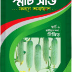 Hy bride Cucumber- Nibir