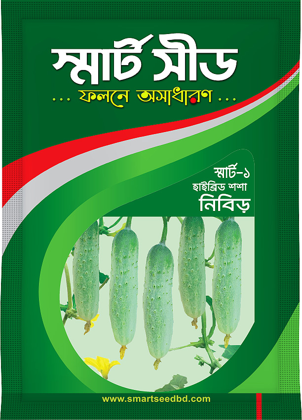 Hy bride Cucumber- Nibir