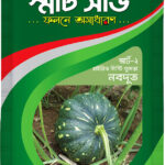 Hy Bride Pumpkin- Nabadut