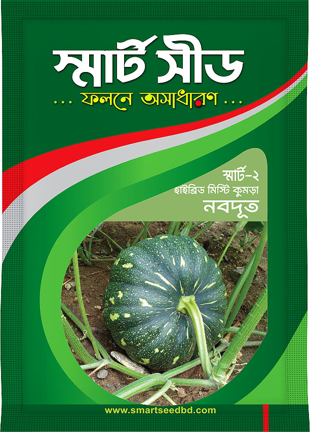 Hy Bride Pumpkin- Nabadut