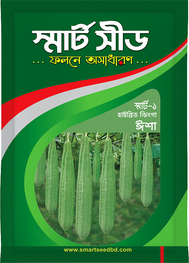 Hybride Ridge Gourd- Isha