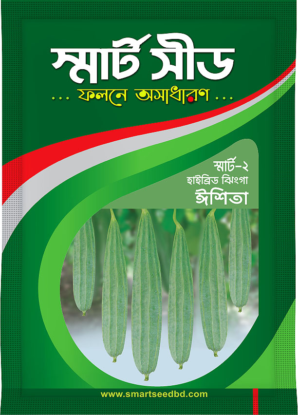 Hybride Ridge Gourd- Ishita