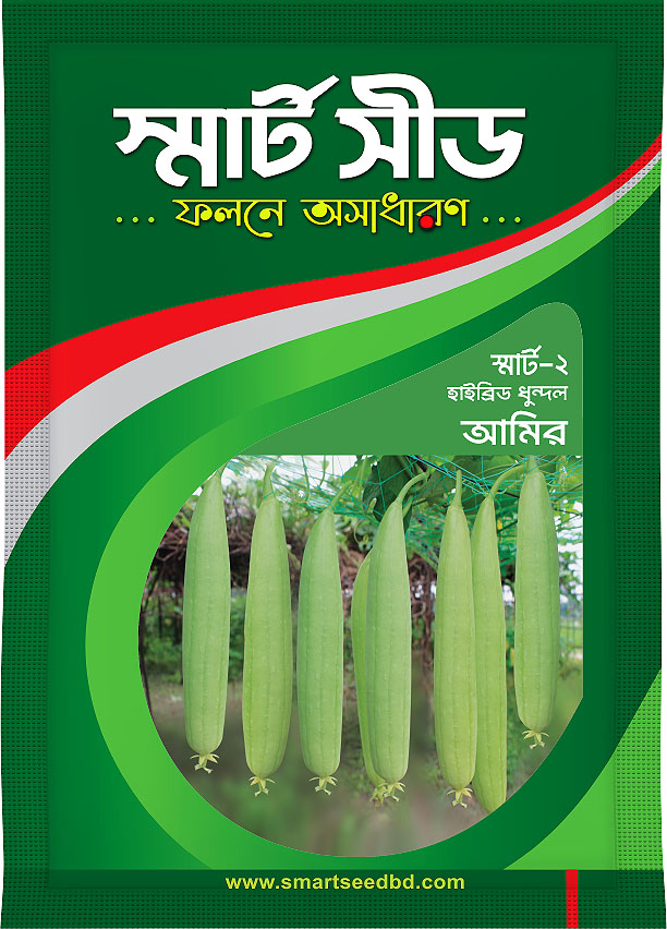 Hybrid Sponge Gourd- Amir