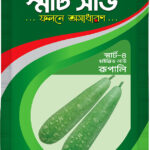 Hybrid Bottle Gourd- Rupali