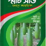 Hybrid Bottle Gourd- Liza