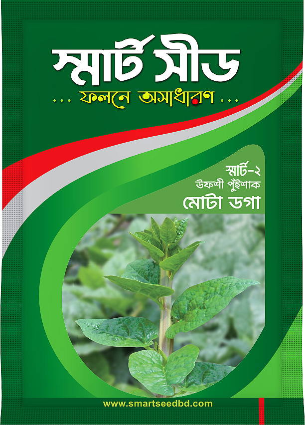Indian Spinach- Motadoga