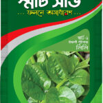 Indian Spinach- Lili