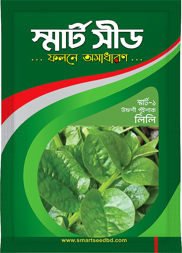 Indian Spinach- Lili