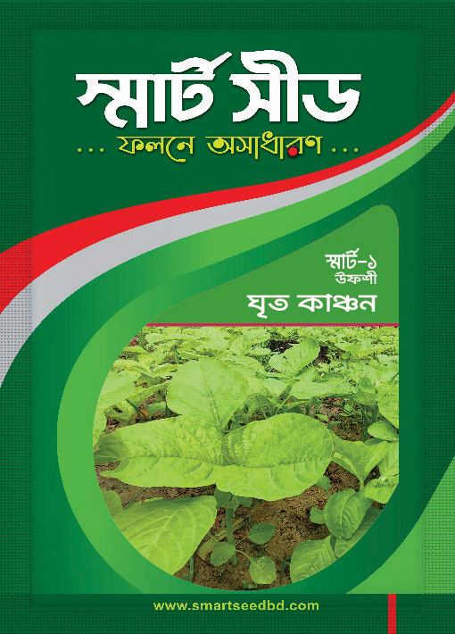 Shak/Green Leaf- Grito Kanchon