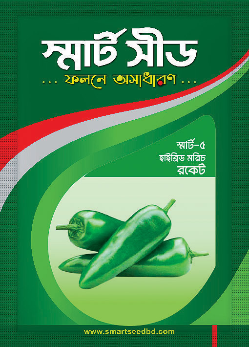 Chilli- Rocket