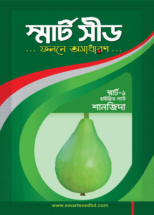 Bottle gourd- Sanjida