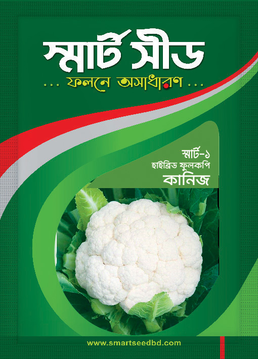 Cauliflower - Kanhiz
