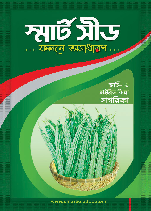 Ridge gourd- Shagorika